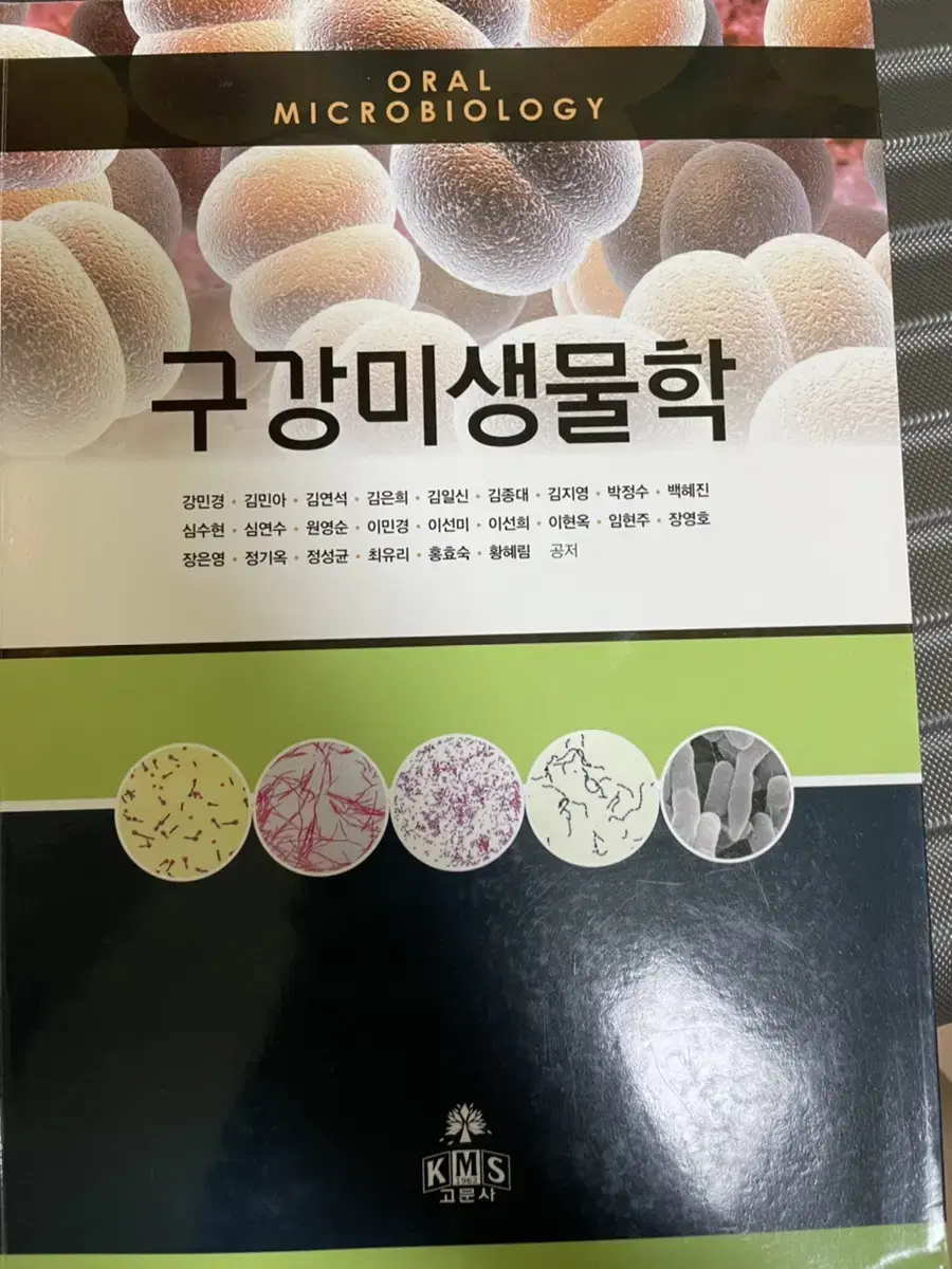 구강미생물학