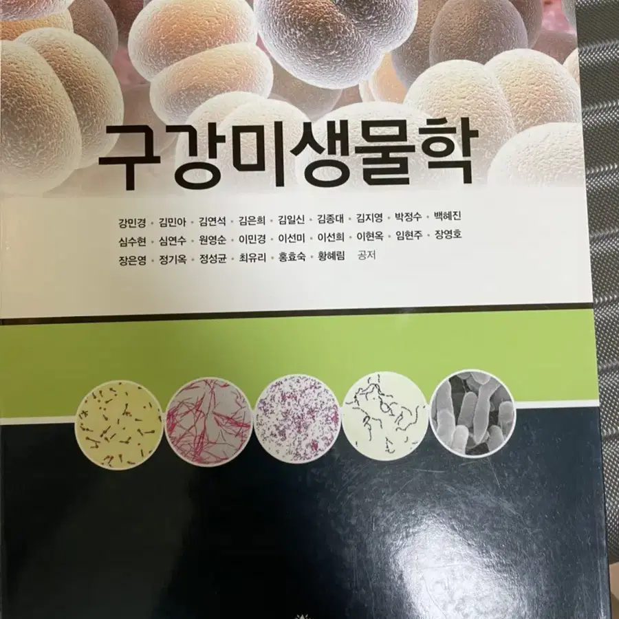 치과 건강보험 구강미생물학 소아청소년치과학 치아형태학 구강영상학