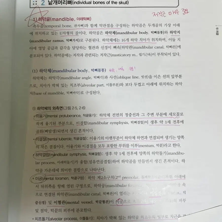 구강해부학 예방치학 치과위생사를 위한 의료관계법규