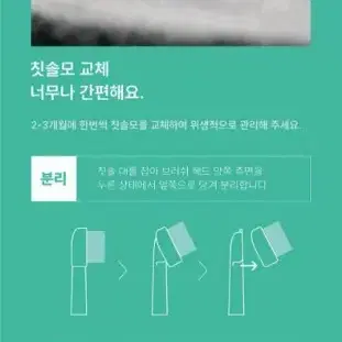 치카라이트 CHIKA BULE LED Toothbrush