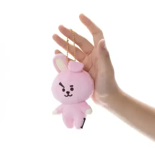 BT21일본 베이직마스코트 알제이 치미 쿠키 타타