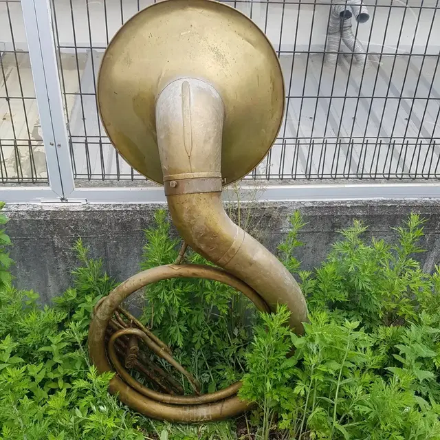 수자폰 Sousaphone 악기 디피 장식 인테리어 황동 신주