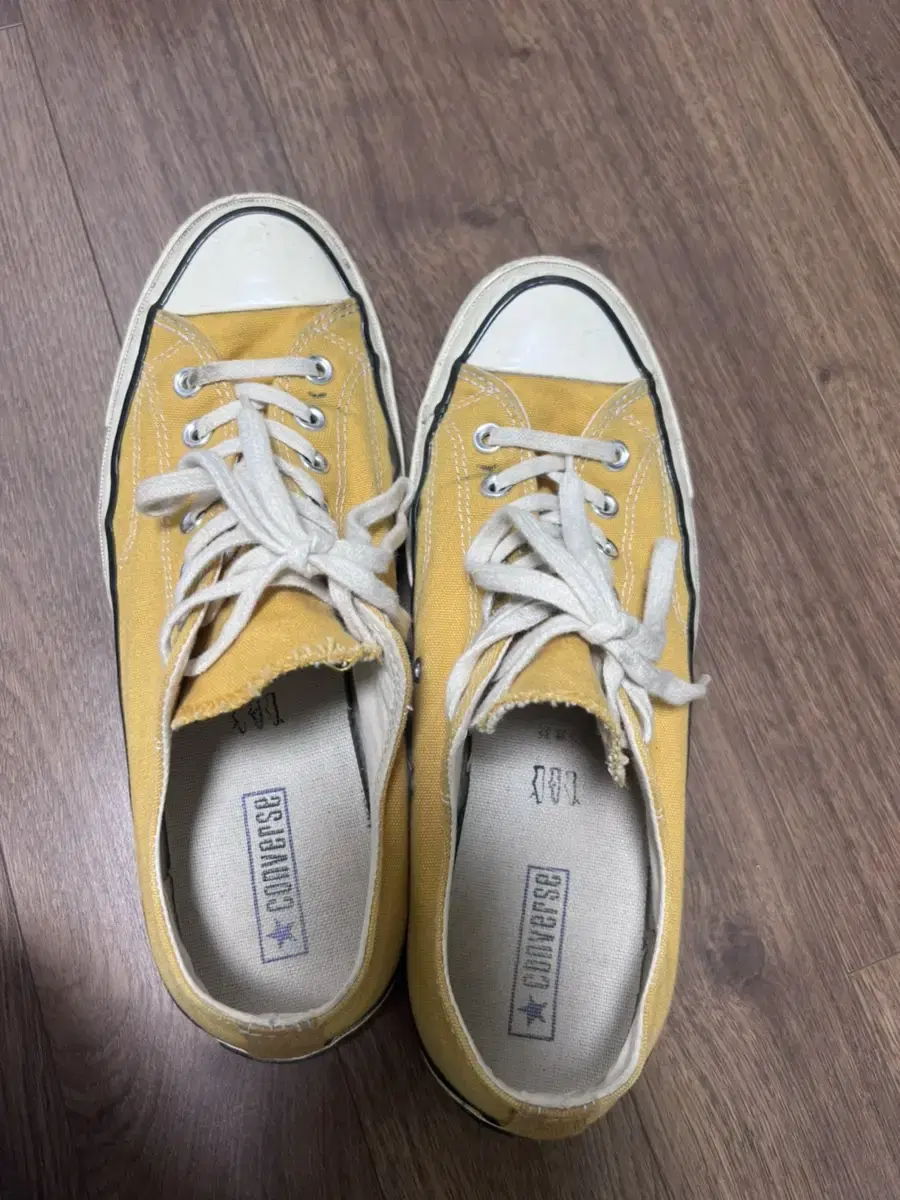 Converse Sunflower