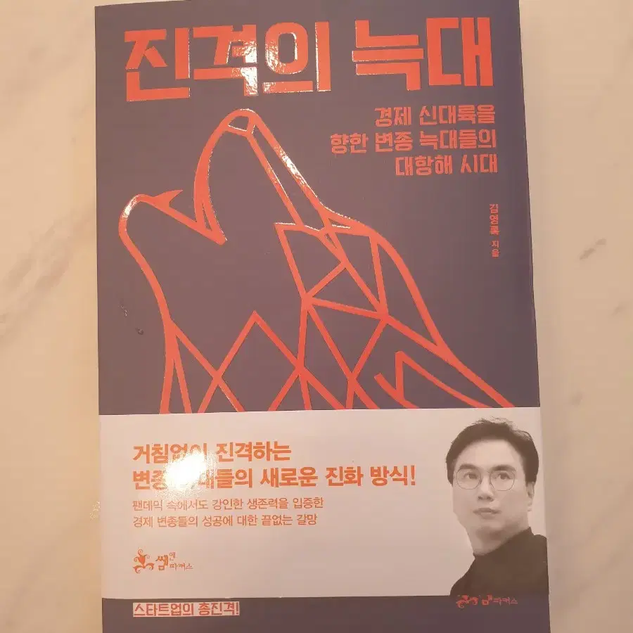 진격의 늑대