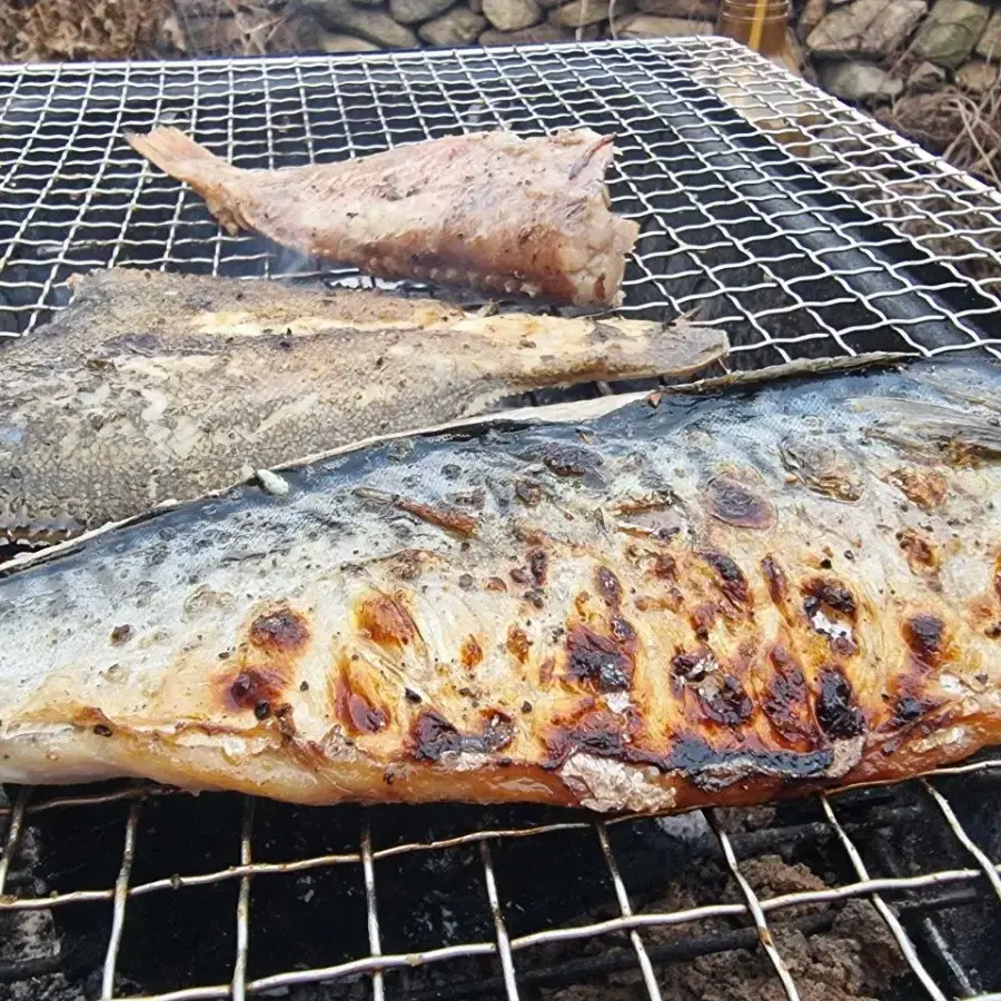 고등어 가자미 열기