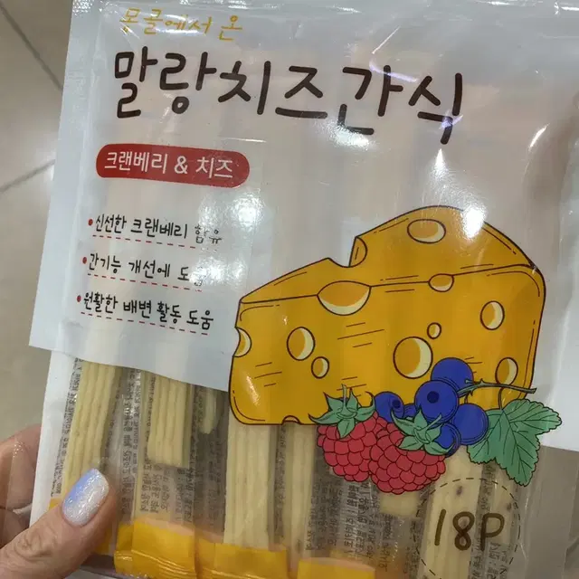 몽골에서 온 말랑치즈