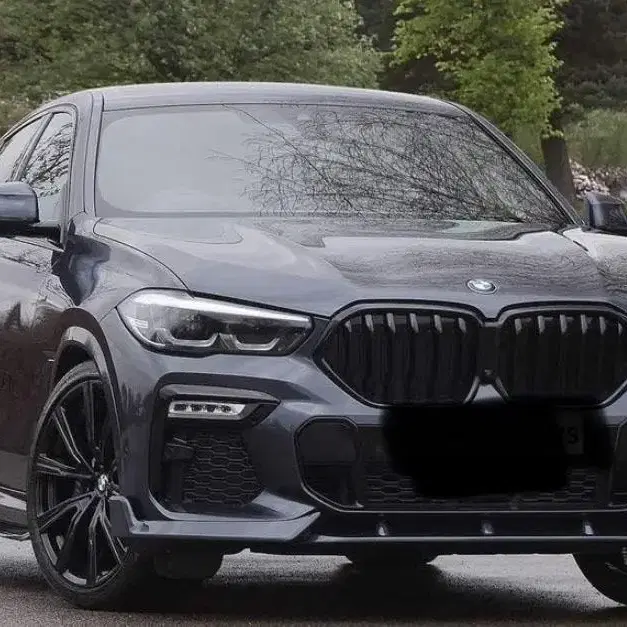 BMW X6 G06 M패키지 M퍼포먼스 X6M F96 키드니 그릴