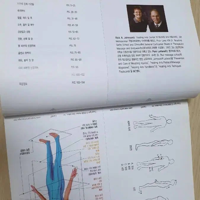 해부학 플래시카드 책