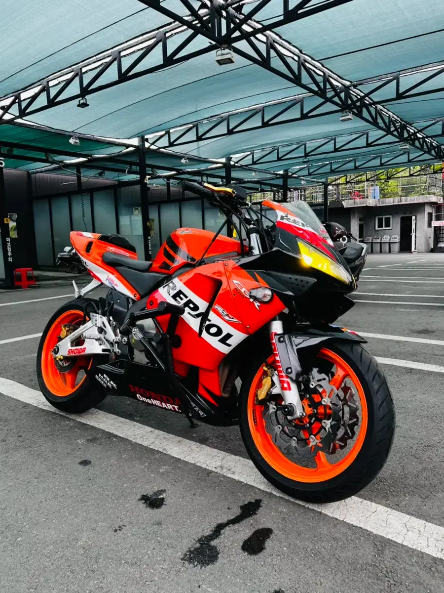 ロッキーパテル ロイヤル ロブスト 127mm 52rg 強さ ハバナカ輸入 ロブスト系