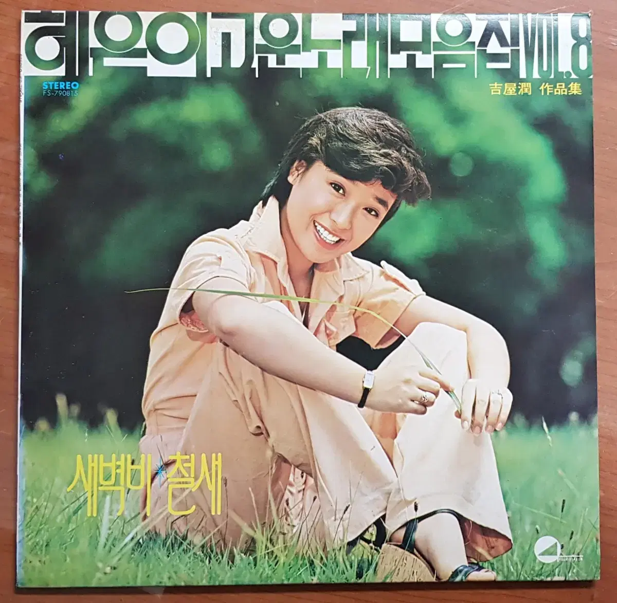 1979년 가수 혜은이 고운 노래 모음 8집 음반 LP