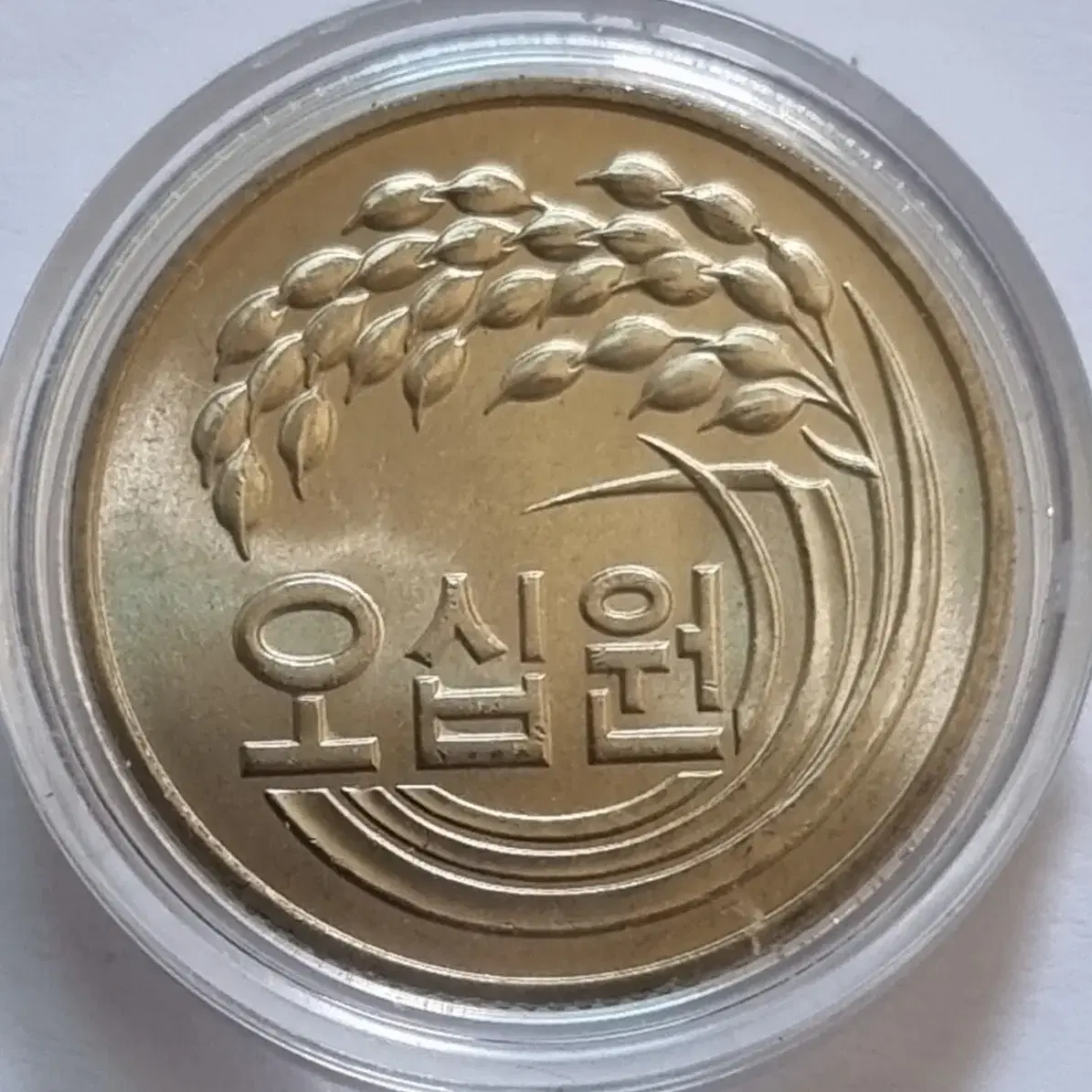 한국은행 1981년도 5종 미사용 주화 세트