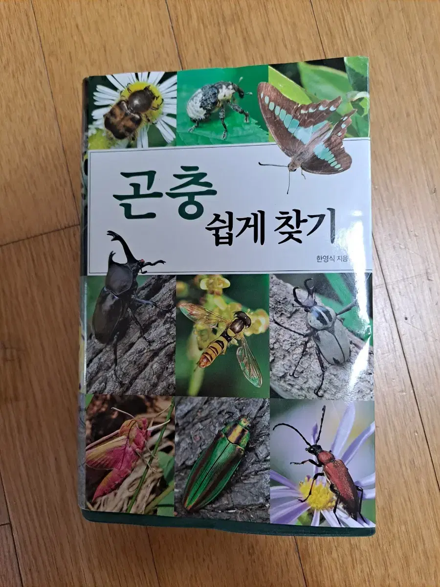 곤충 쉽게 찾기 곤충책 팝니다 도마뱀 물고기 벌래 동물