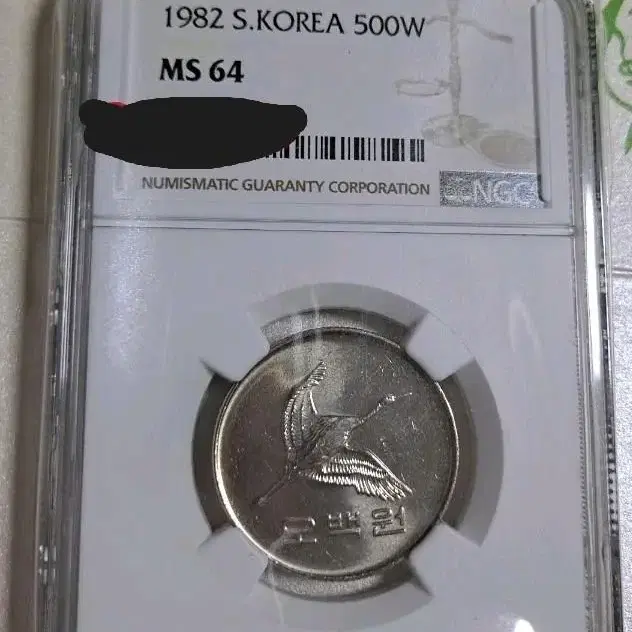 1982년 500원 NGC MS64등급 동전 주화 2