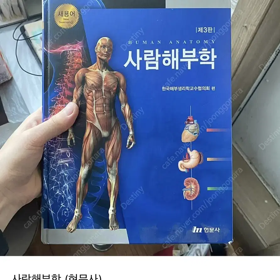 물리치료전공서적) 사람해부학 (현문사)