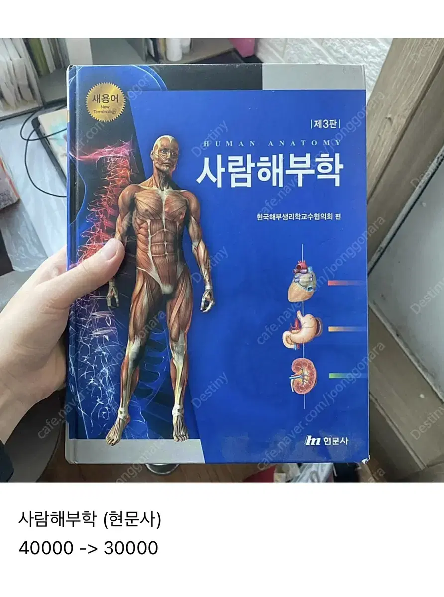 물리치료전공서적) 사람해부학 (현문사)