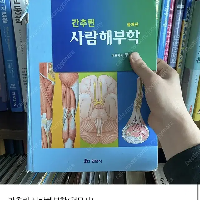 물리치료전공서적) 간추린 사람해부학(현문사)