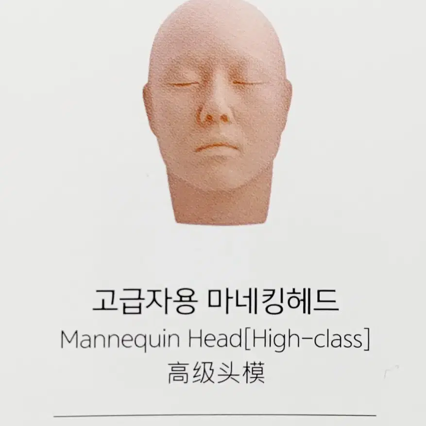 마네킹 헤드 반영구 속눈썹겸용 고급자용 마네킹 고급자용 메이크업 눈썹마네