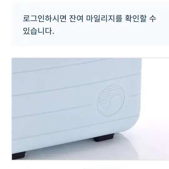 대한항공 트레블 레디백