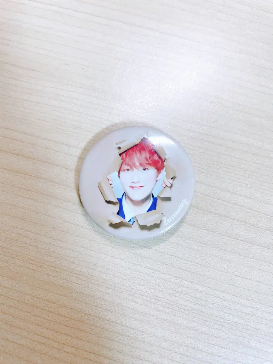 X1 lee eunsang Brooch