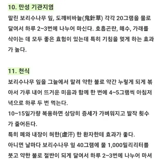 국내산 보리수잎