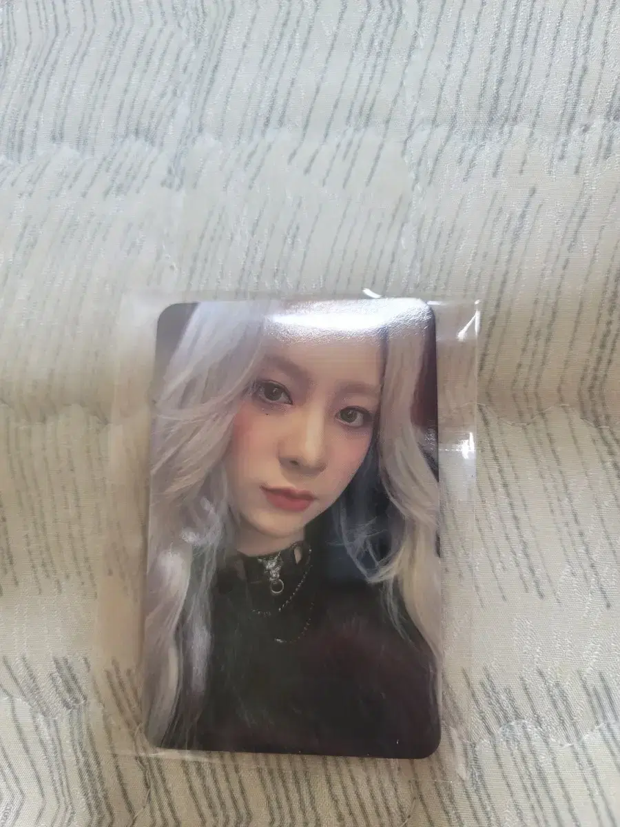 Sell Bandit Photo Card