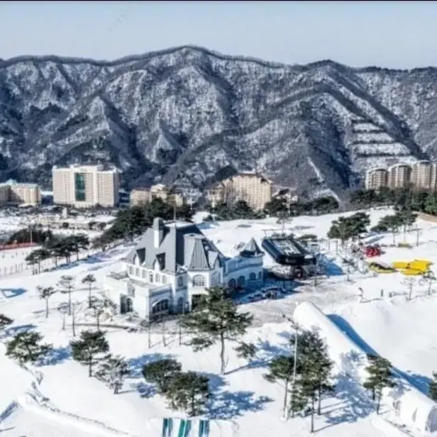 [당일가능] 비발디파크 리프트/장비렌탈 타임패스