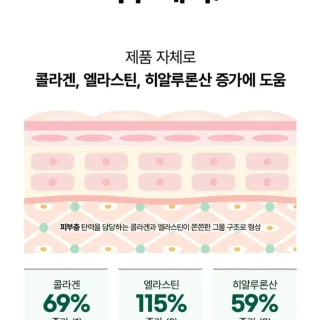 김정문알로에 최신상 리알로에 피토그린 앰플 마스크 10매입 한박스