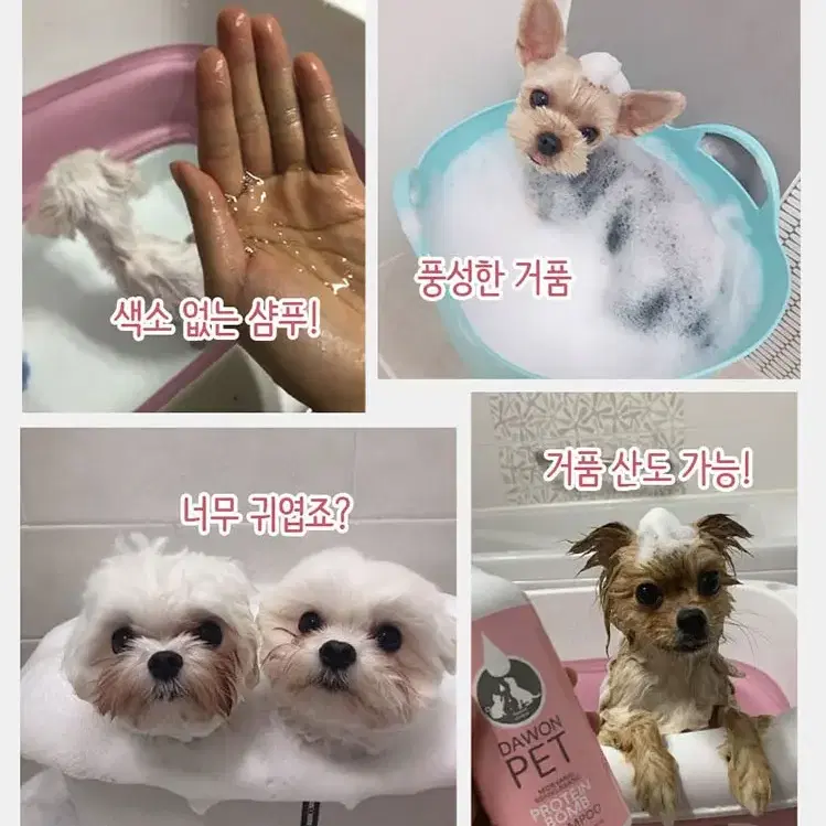 향기좋은 강아지 고양이 자연유래성분 애견샴푸 470ml