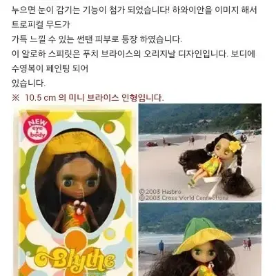 푸치 브라이스 알로하스피릿 미니브라이스 블라이스 푸치블라이스 빈티지돌