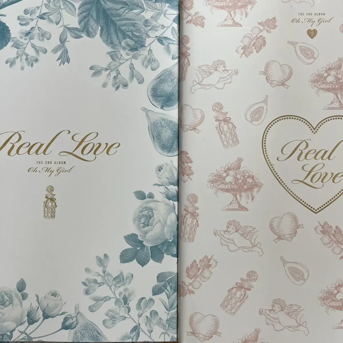 Oh My Girl Real Love Album