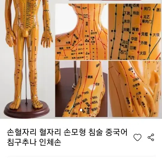 경락혈자리인형