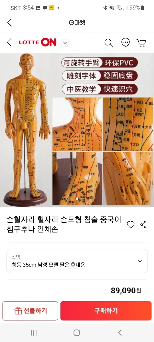 경락혈자리인형