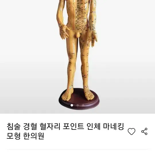 경락혈자리인형