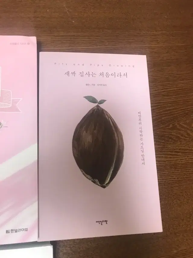 (식물)새싹집사는 처음이라서 책 서적