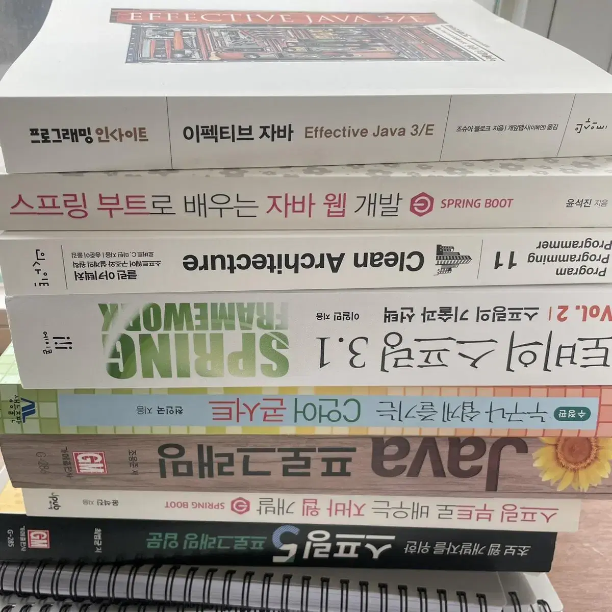 IT developer major books