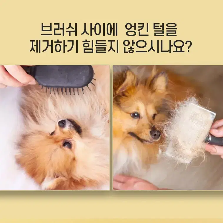 강아지 고양이 애견 털정리 브러쉬 빗질 콤빗