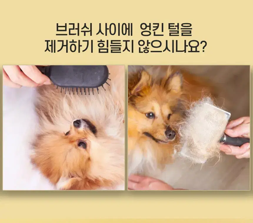 강아지 고양이 애견 털정리 브러쉬 빗질 콤빗