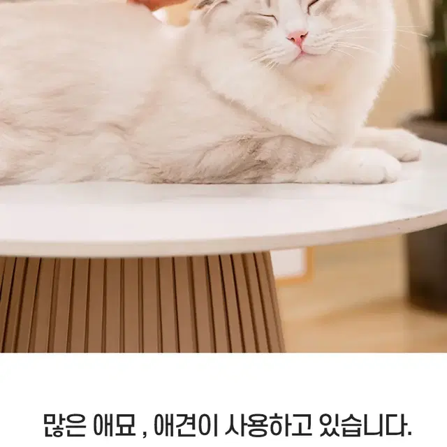 강아지 고양이 애견 털정리 브러쉬 빗질 콤빗