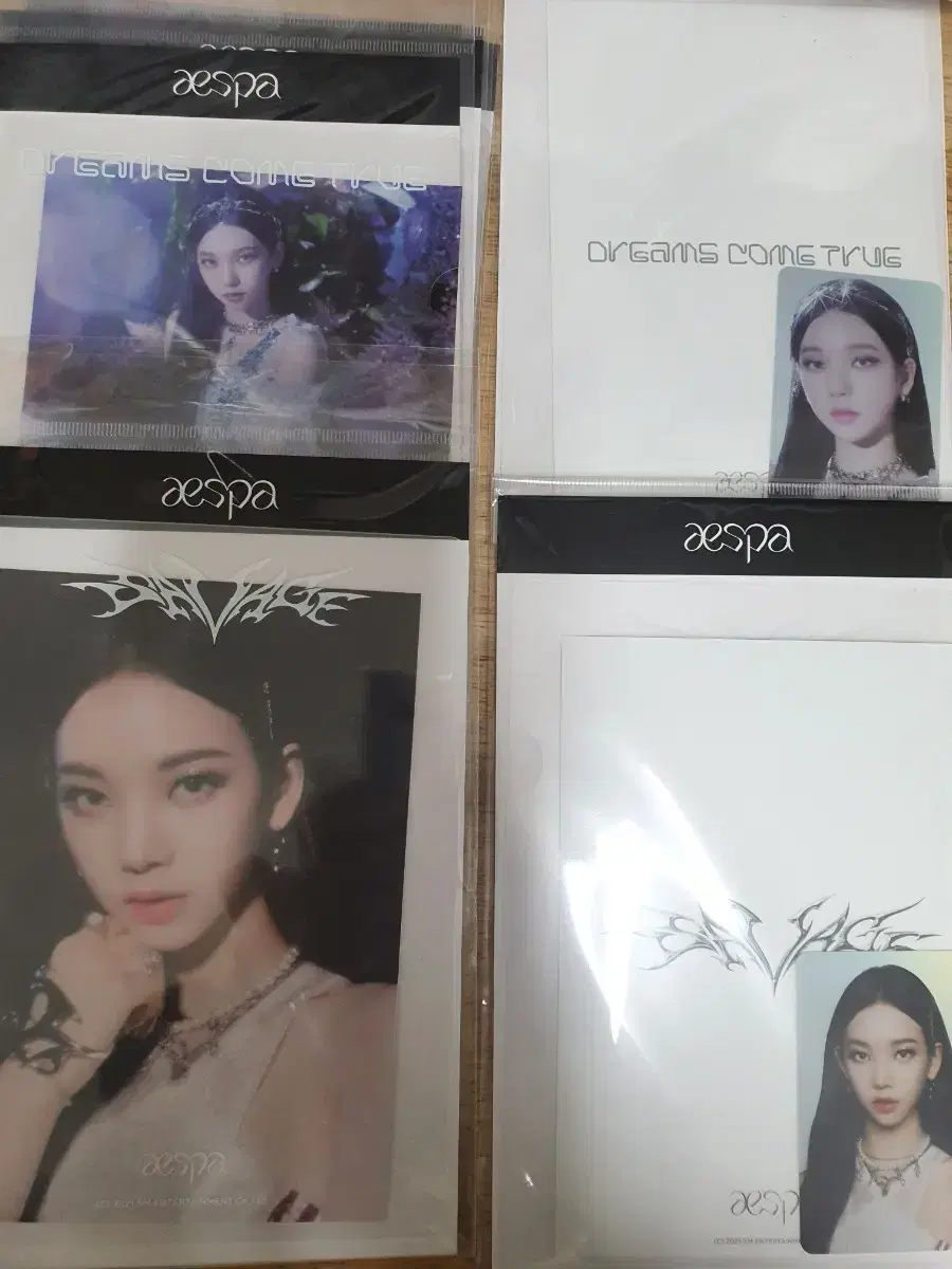 aespa karina winter holka photocard hologram kard official goods