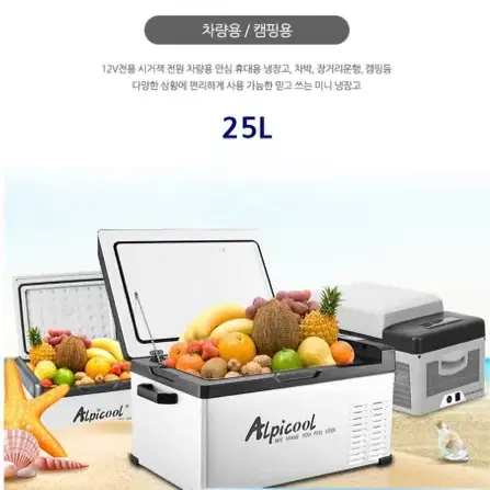 캠핑용품 알피쿨 25L휴대용 냉장고 220V