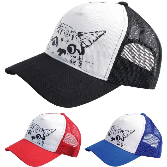 [New Product] Cat Sponge Mesh Hat