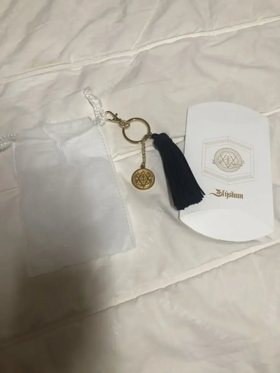 VIXX Elysium Concert Merchandise keyring Tesla Keyring