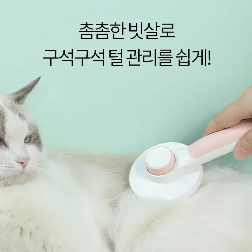 강아지 고양이 애견 털정리 브러시 빗질 원터치 피부보호 콤빗 반려동물