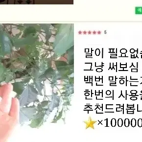 레이디퀸 핑크레이디 청결제