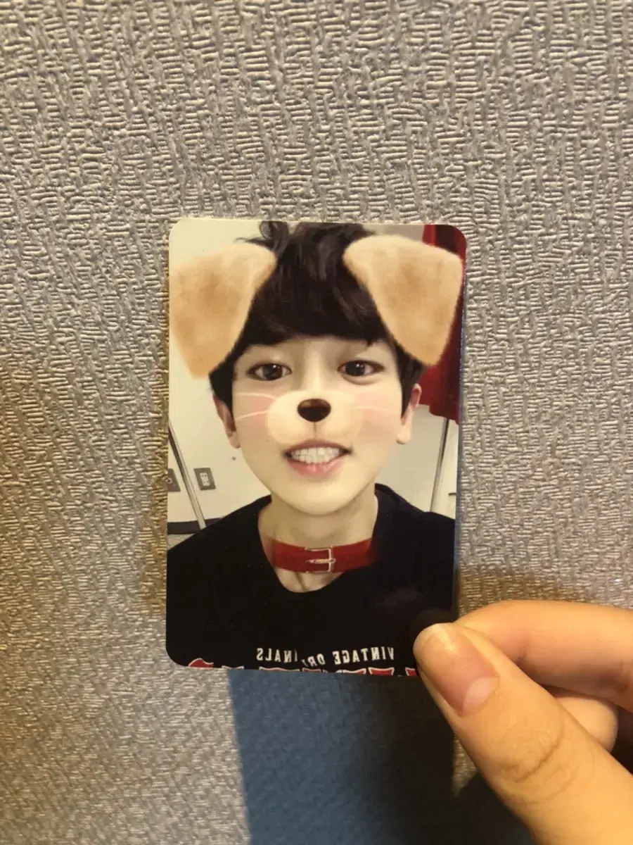 Polar Life chanyeol photocard