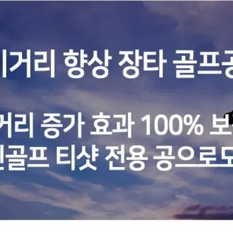 다이아윙스 골프공 정품 벌크타입 50구