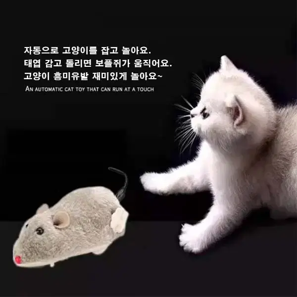 2마리가격입니다..고양이장난감 쥐장난감 자동장난감 애완묘 장난감