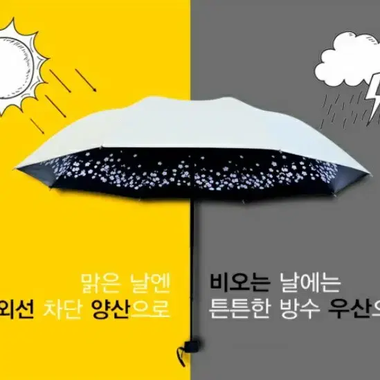 벚꽃암막우산 양우산