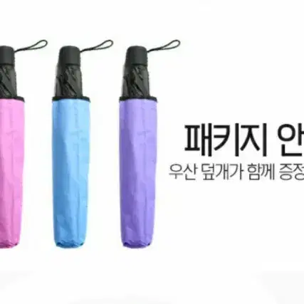 벚꽃암막우산 양우산