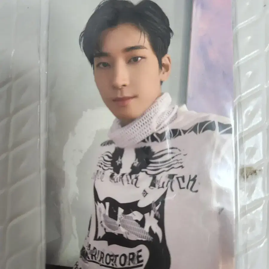 세븐틴 원우 포카 도겸